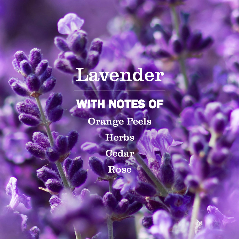 Lavender Dish Soap Refill - Image 4